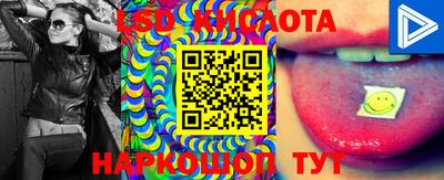 стафф Владивосток