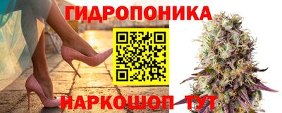 МДПВ Владимир